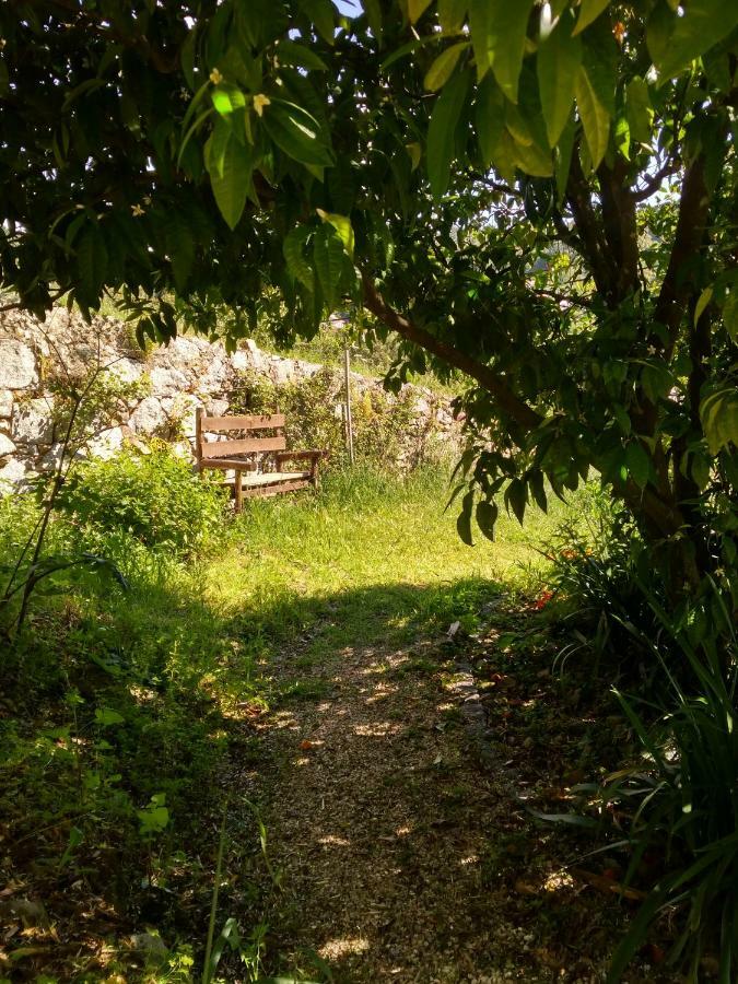 Quinta Algarve Das Relvinhas มอนชีเก ภายนอก รูปภาพ
