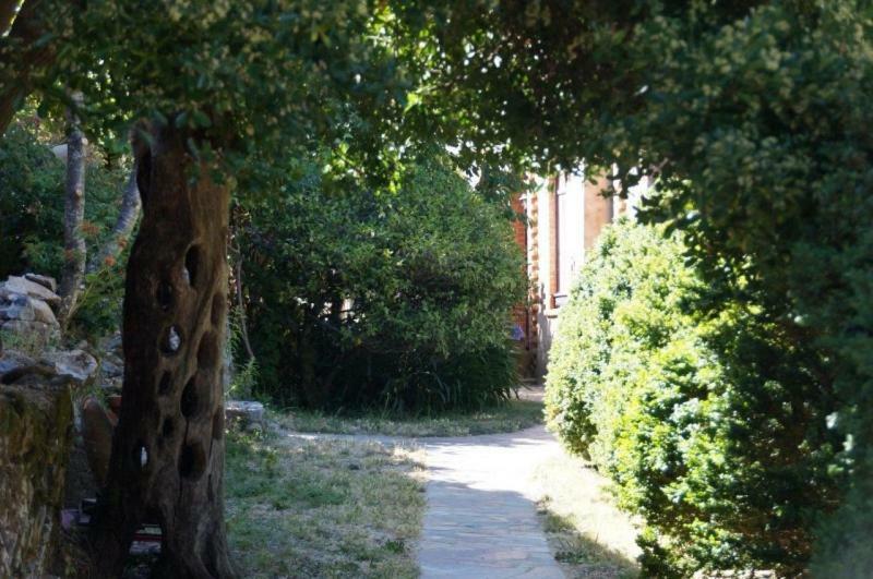 Quinta Algarve Das Relvinhas มอนชีเก ภายนอก รูปภาพ