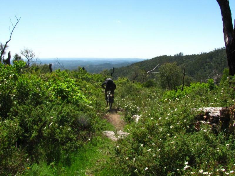 Quinta Algarve Das Relvinhas มอนชีเก ภายนอก รูปภาพ